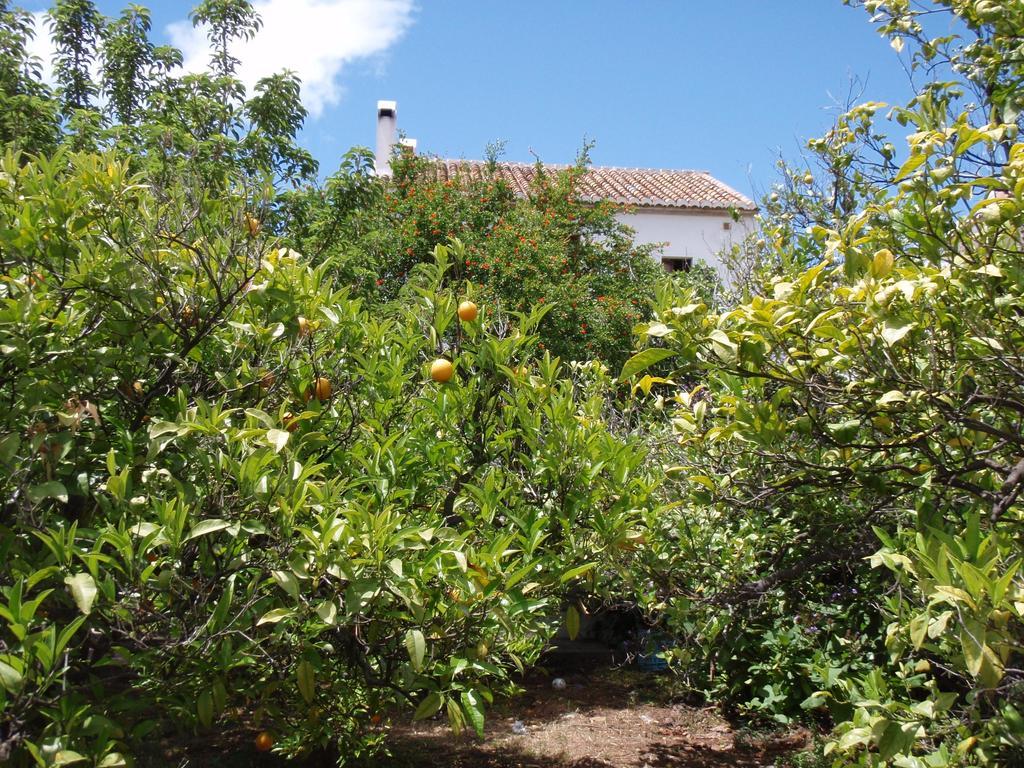 Ferienwohnung Casa De La Fuente Tolox Exterior foto