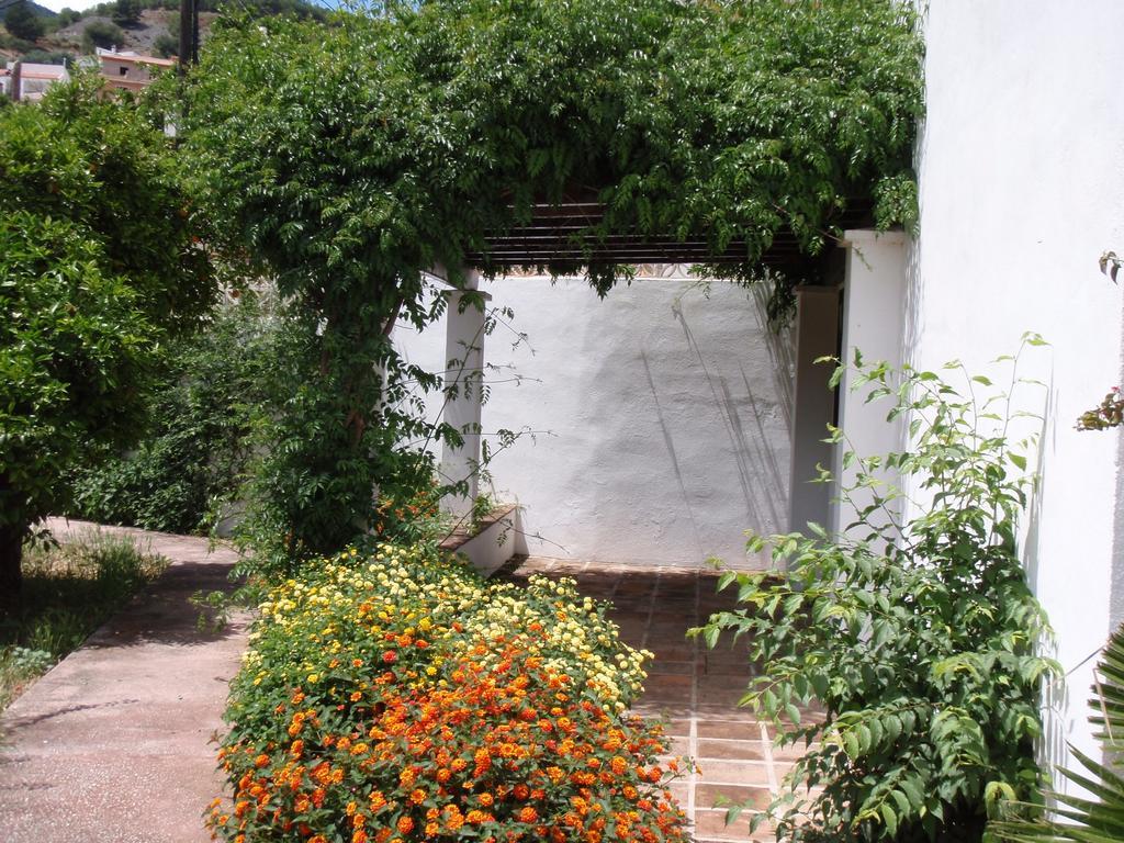 Ferienwohnung Casa De La Fuente Tolox Exterior foto